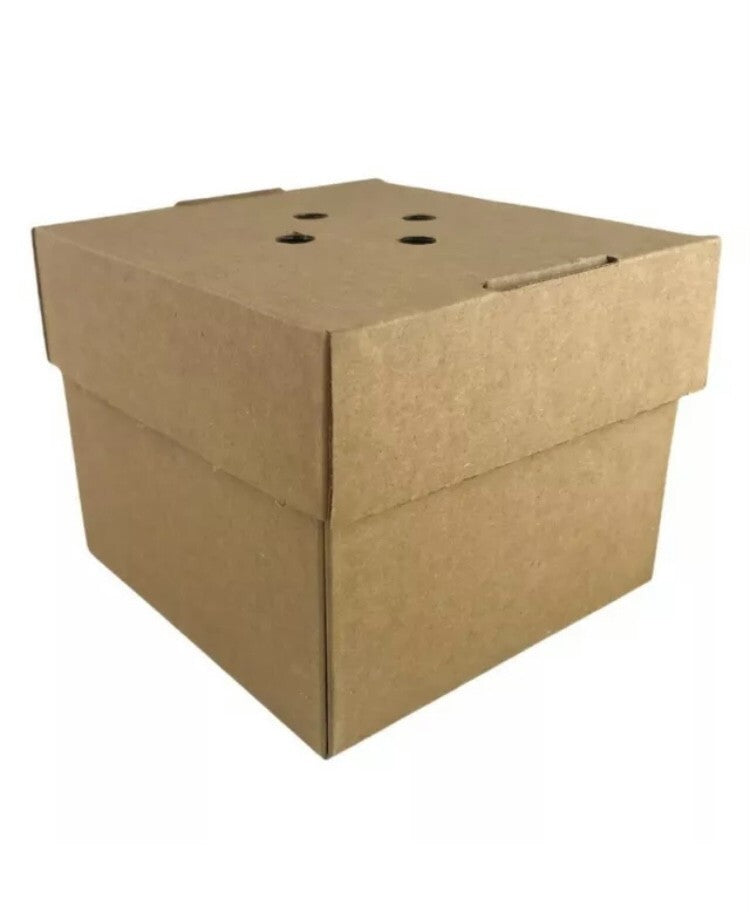 Gourmet Burger Boxes Small Cardboard Box 100 Pack